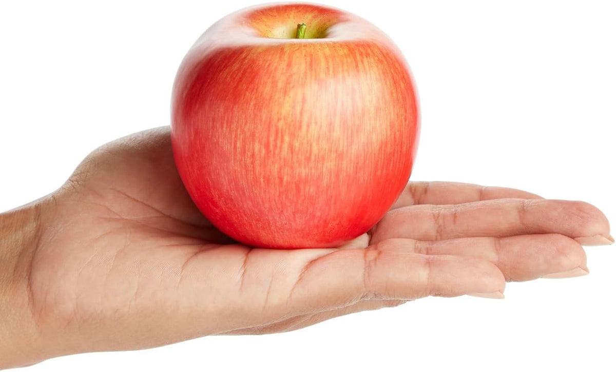 Artificial Apples Set - Lifelike Foam Apples for Crafts & Displays - 6-Pack, 2.7"×2.2"×2.5"" - Red & Green