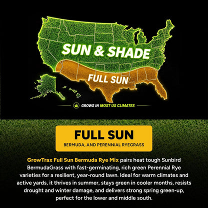 Biodegradable Grass Seed Mat - 50 Sq Ft Bermuda Rye