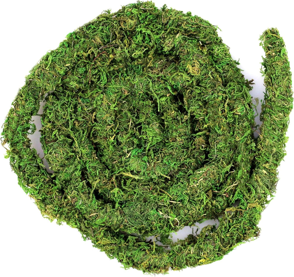 Galápagos (05266) MossVine, Real Moss Vine, 12FT, Green