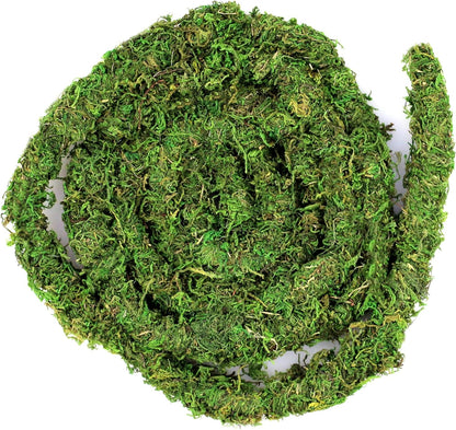 Galápagos (05266) MossVine, Real Moss Vine, 12FT, Green