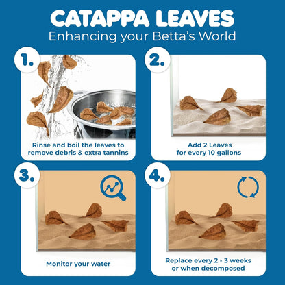 50 pcs Catappa Indian Almond Leaves – 2” Water Conditioner for Betta Fish Tank, Aquarium Leaf for Fish Breeding, Shrimp, Goldfish, Guppy & Frogs
