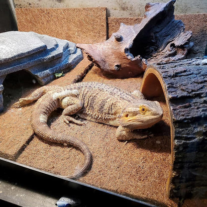 Reptile Carpet Coconut Fiber Mat,Lizard Terrarium Substrate Liner Gecko Tank Flooring Bearded Dragon Tank Accessories Bedding for Snakes Chameleons Tortoises