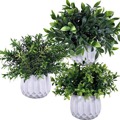 3 Pcs Faux Potted Plants Set - Artificial Eucalyptus, Rosemary, Boxwood Greenery in Small White Geometric Planters for Indoor Outdoor Desk Table Centerpiece Shelf Windowsill Home Office Decor
