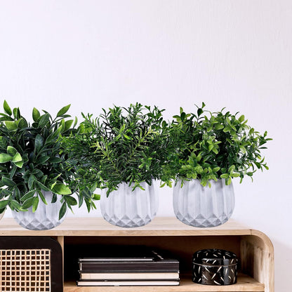 3 Pcs Faux Potted Plants Set - Artificial Eucalyptus, Rosemary, Boxwood Greenery in Small White Geometric Planters for Indoor Outdoor Desk Table Centerpiece Shelf Windowsill Home Office Decor