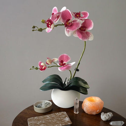 Artificial Potted Orchid Flower for Table Centerpieces,Real Touch White Fake Orchid Flowers in Vase for Home Decoration (Style 2,Black Vase)