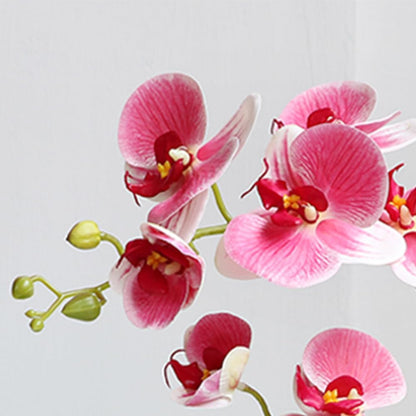 Artificial Potted Orchid Flower for Table Centerpieces,Real Touch White Fake Orchid Flowers in Vase for Home Decoration (Style 2,Black Vase)