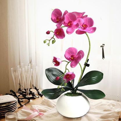Artificial Potted Orchid Flower for Table Centerpieces,Real Touch White Fake Orchid Flowers in Vase for Home Decoration (Style 2,Black Vase)