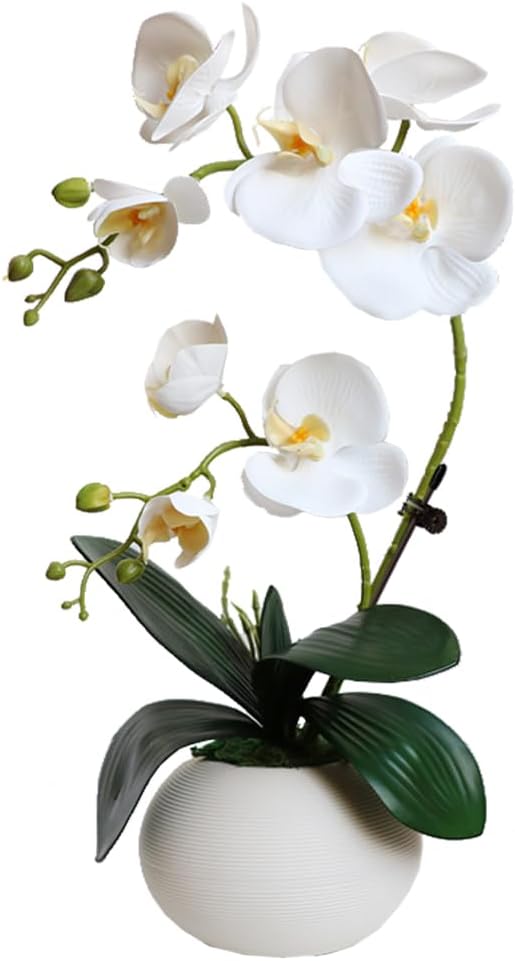 Artificial Potted Orchid Flower for Table Centerpieces,Real Touch White Fake Orchid Flowers in Vase for Home Decoration (Style 2,Black Vase)