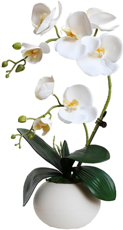Artificial Potted Orchid Flower for Table Centerpieces,Real Touch White Fake Orchid Flowers in Vase for Home Decoration (Style 2,Black Vase)