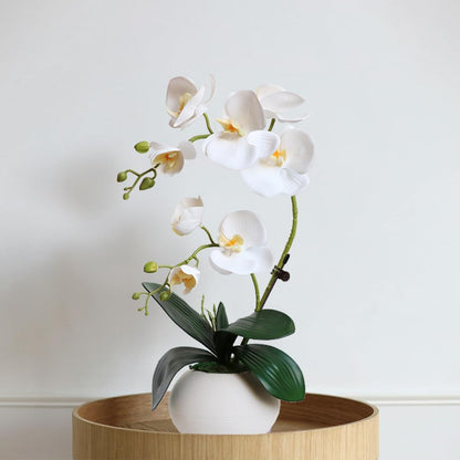 Artificial Potted Orchid Flower for Table Centerpieces,Real Touch White Fake Orchid Flowers in Vase for Home Decoration (Style 2,Black Vase)