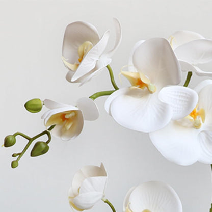 Artificial Potted Orchid Flower for Table Centerpieces,Real Touch White Fake Orchid Flowers in Vase for Home Decoration (Style 2,Black Vase)