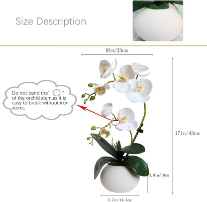 Artificial Potted Orchid Flower for Table Centerpieces,Real Touch White Fake Orchid Flowers in Vase for Home Decoration (Style 2,Black Vase)