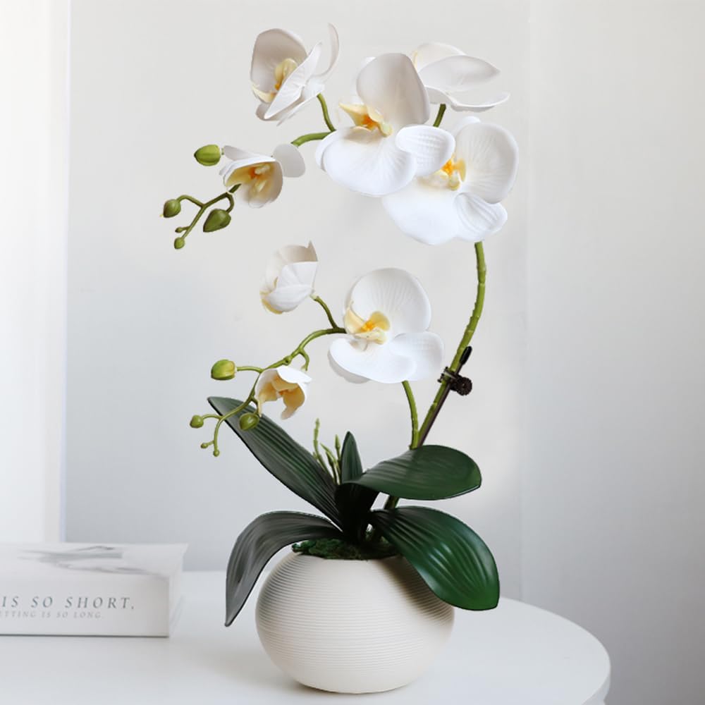 Artificial Potted Orchid Flower for Table Centerpieces,Real Touch White Fake Orchid Flowers in Vase for Home Decoration (Style 2,Black Vase)