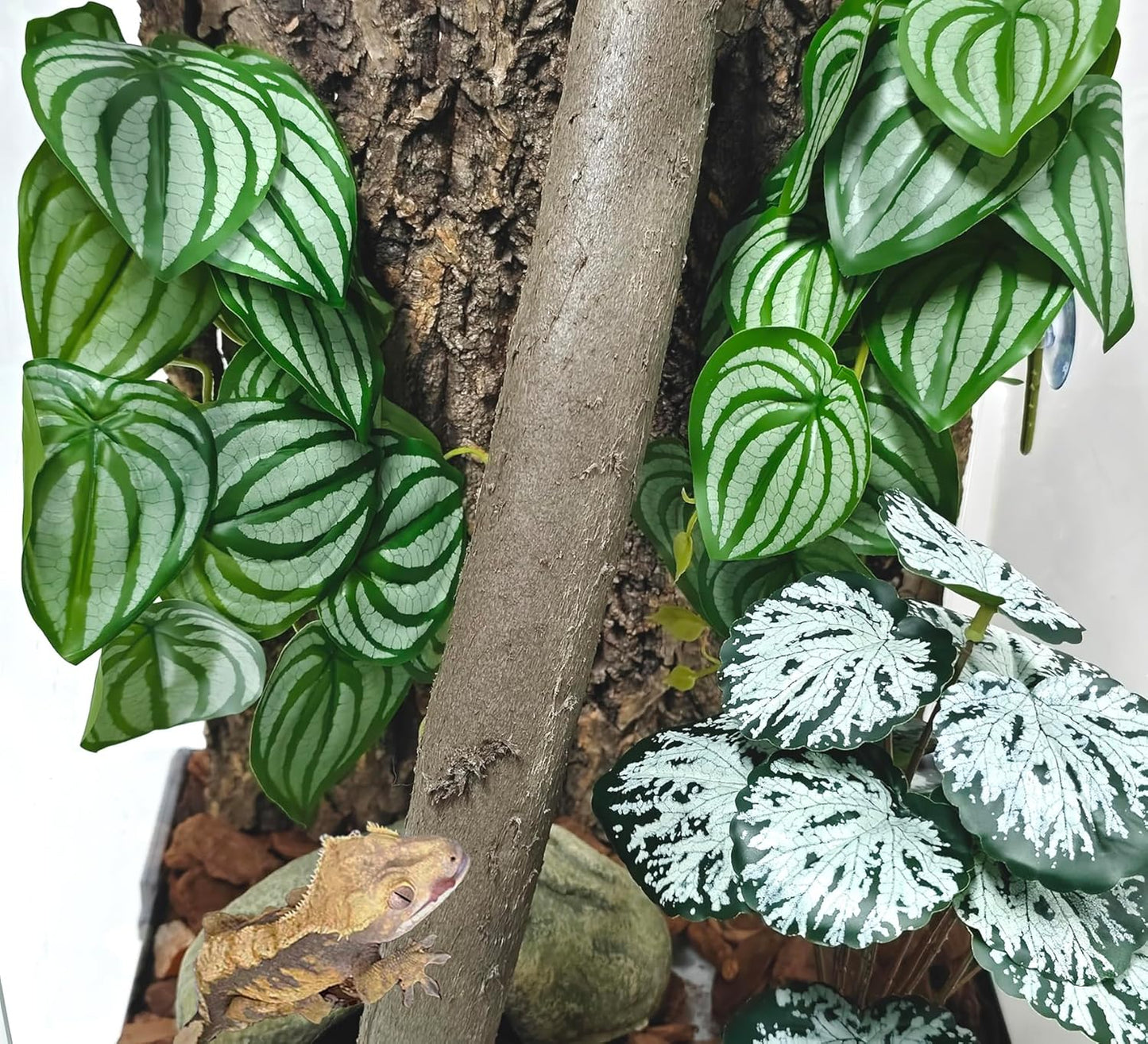 Reptile Plants for Terrarium, Artificial Hanging Plants with Suction Cups, Amphibian Tank Habitat Decor Plastic Plant for Bearded Dragons Lizards Snake Geckos Frogs - 2Pack Fake Monstera