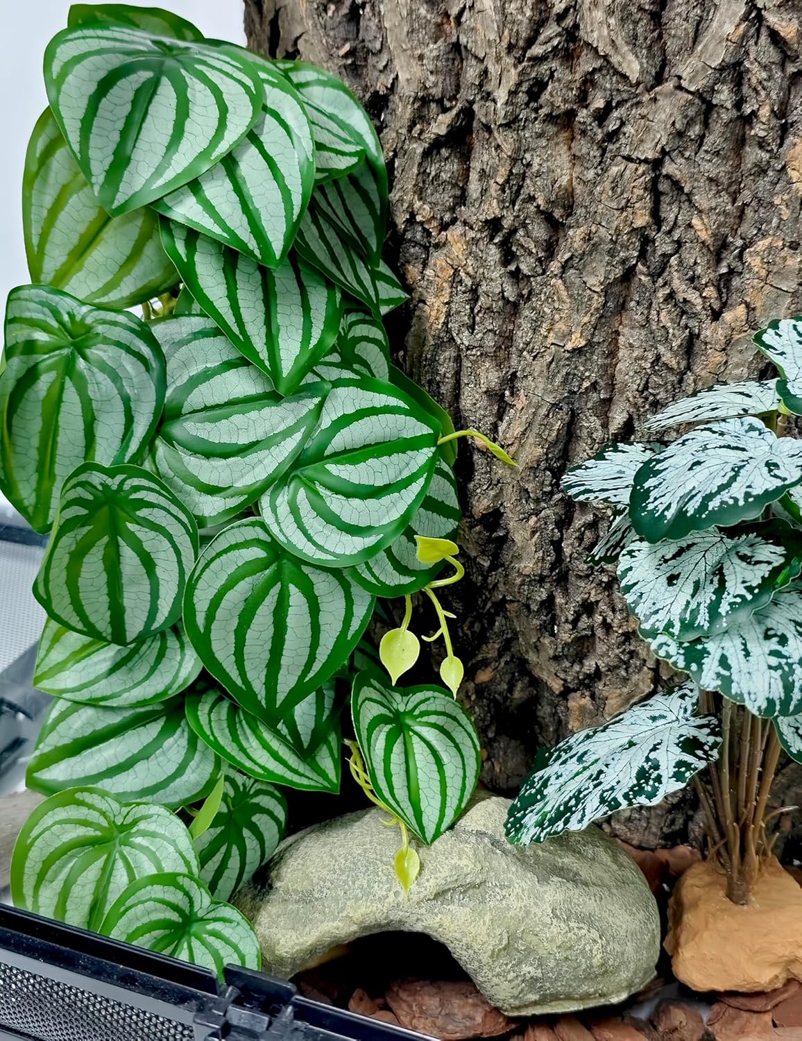 Reptile Plants for Terrarium, Artificial Hanging Plants with Suction Cups, Amphibian Tank Habitat Decor Plastic Plant for Bearded Dragons Lizards Snake Geckos Frogs - 2Pack Fake Monstera