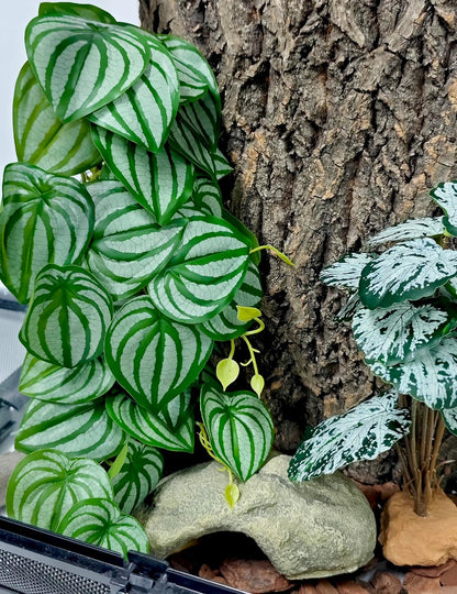 Reptile Plants for Terrarium, Artificial Hanging Plants with Suction Cups, Amphibian Tank Habitat Decor Plastic Plant for Bearded Dragons Lizards Snake Geckos Frogs - 2Pack Fake Monstera