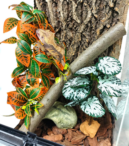 Reptile Plants for Terrarium, Artificial Hanging Plants with Suction Cups, Amphibian Tank Habitat Decor Plastic Plant for Bearded Dragons Lizards Snake Geckos Frogs - 2Pack Fake Monstera