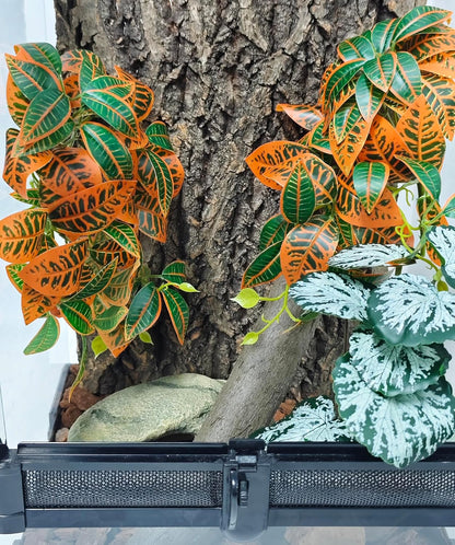 Reptile Plants for Terrarium, Artificial Hanging Plants with Suction Cups, Amphibian Tank Habitat Decor Plastic Plant for Bearded Dragons Lizards Snake Geckos Frogs - 2Pack Fake Monstera