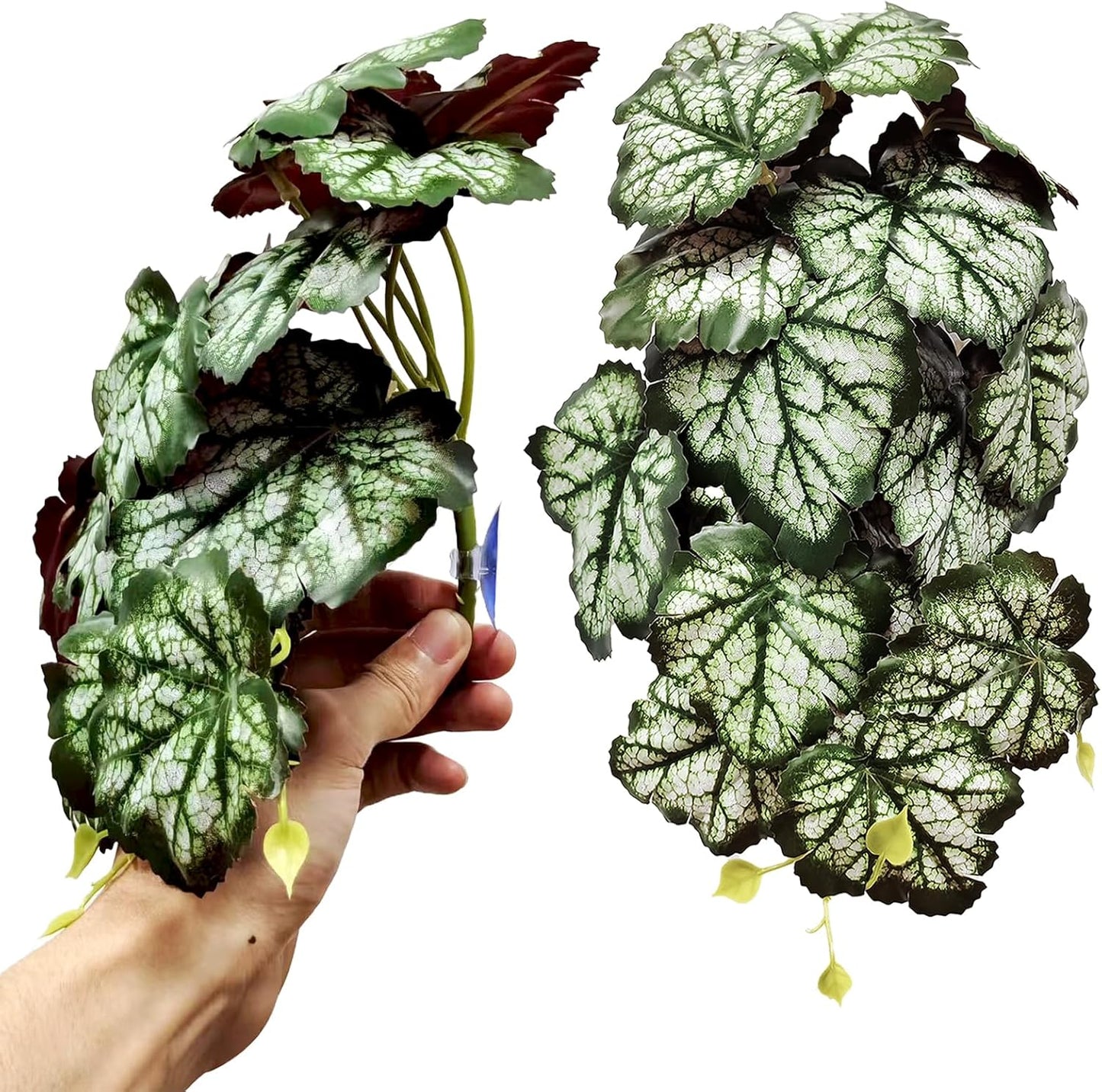 Reptile Plants for Terrarium, Artificial Hanging Plants with Suction Cups, Amphibian Tank Habitat Decor Plastic Plant for Bearded Dragons Lizards Snake Geckos Frogs - 2Pack Fake Monstera