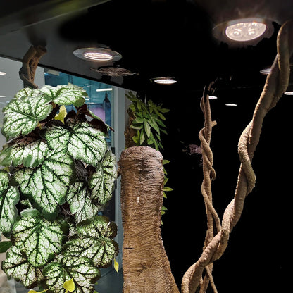 Reptile Plants for Terrarium, Artificial Hanging Plants with Suction Cups, Amphibian Tank Habitat Decor Plastic Plant for Bearded Dragons Lizards Snake Geckos Frogs - 2Pack Fake Monstera