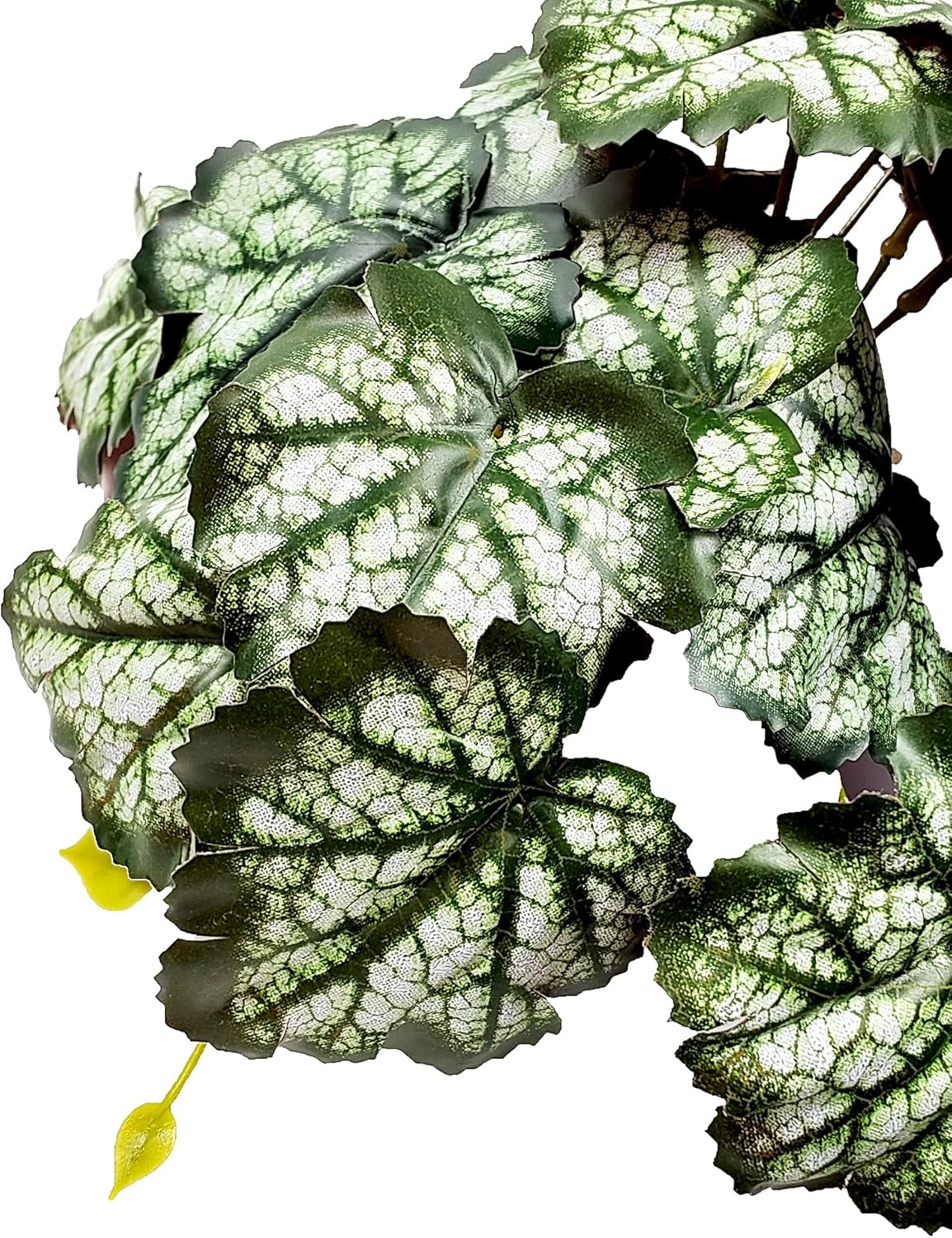Reptile Plants for Terrarium, Artificial Hanging Plants with Suction Cups, Amphibian Tank Habitat Decor Plastic Plant for Bearded Dragons Lizards Snake Geckos Frogs - 2Pack Fake Monstera