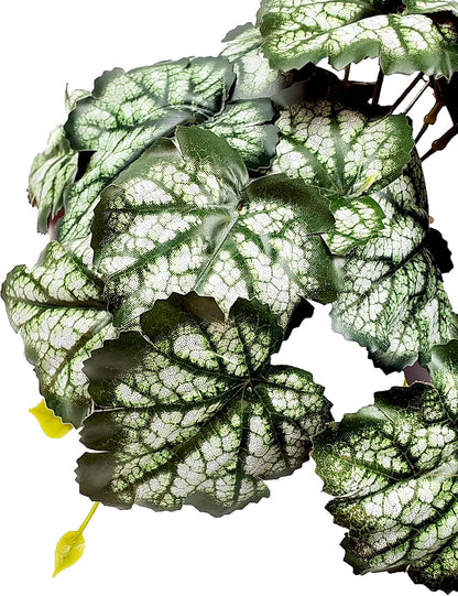 Reptile Plants for Terrarium, Artificial Hanging Plants with Suction Cups, Amphibian Tank Habitat Decor Plastic Plant for Bearded Dragons Lizards Snake Geckos Frogs - 2Pack Fake Monstera