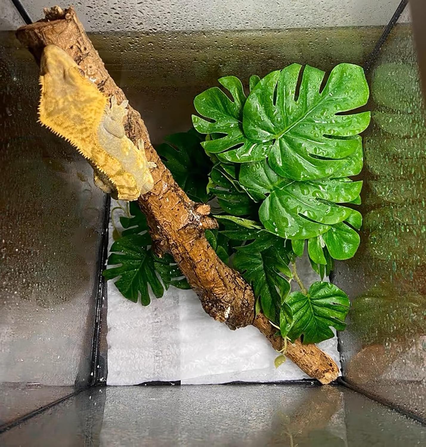 Reptile Plants for Terrarium, Artificial Hanging Plants with Suction Cups, Amphibian Tank Habitat Decor Plastic Plant for Bearded Dragons Lizards Snake Geckos Frogs - 2Pack Fake Monstera