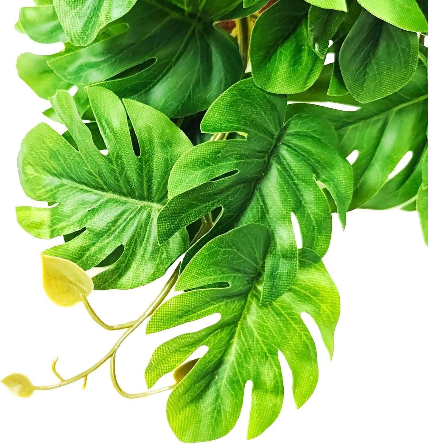 Reptile Plants for Terrarium, Artificial Hanging Plants with Suction Cups, Amphibian Tank Habitat Decor Plastic Plant for Bearded Dragons Lizards Snake Geckos Frogs - 2Pack Fake Monstera
