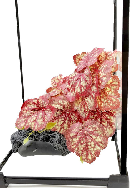 Reptile Plants for Terrarium, Artificial Hanging Plants with Suction Cups, Amphibian Tank Habitat Decor Plastic Plant for Bearded Dragons Lizards Snake Geckos Frogs - 2Pack Fake Monstera