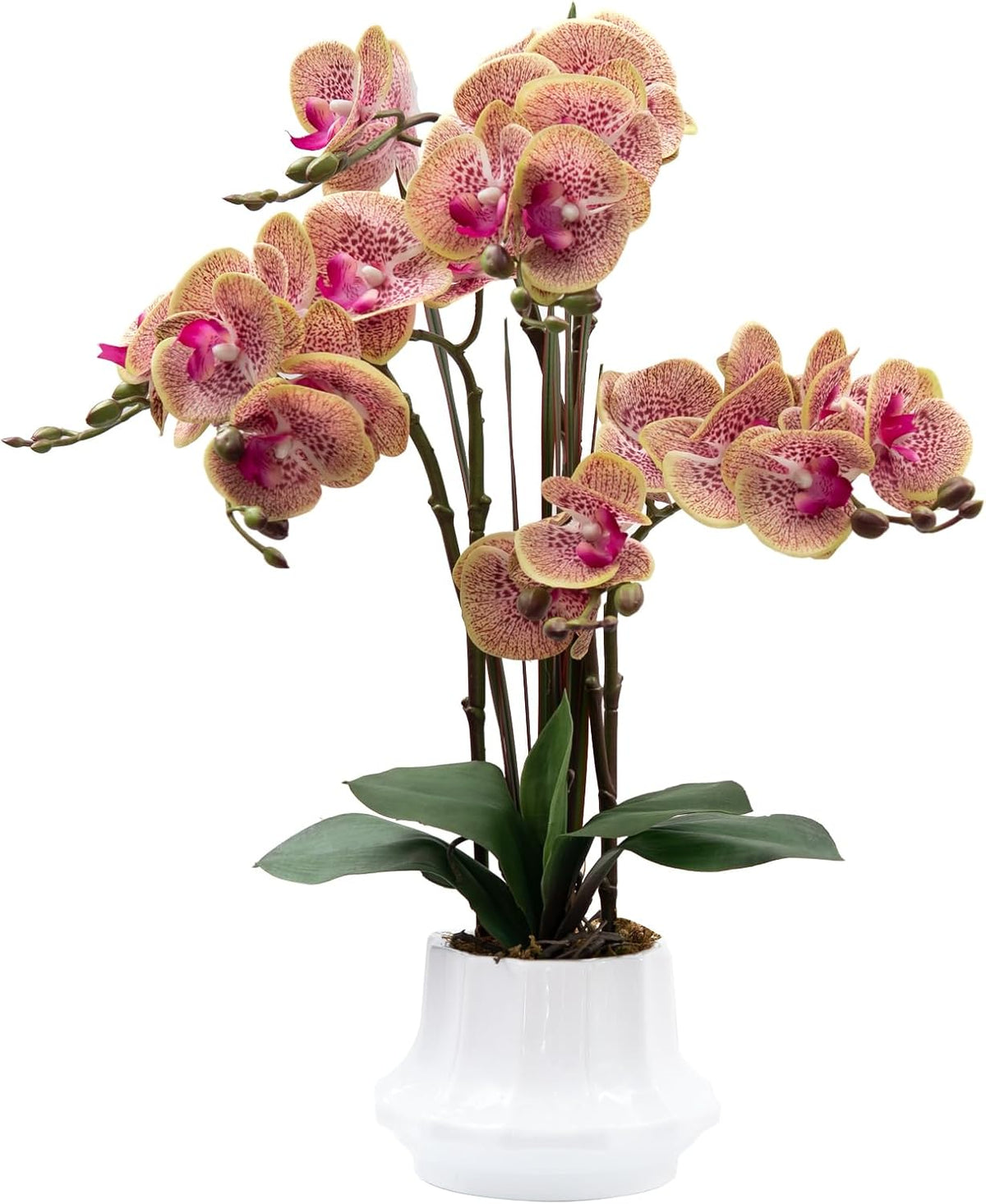 Artificial Orchid Flower Plant 20.9'' Real Touch Faux Orchids in Ceramic Vase Purple Dapple Fake Phalaenopsis Flower Arrangement Silk Orchids with Stems for Centerpiece Table Home Indoor Decor