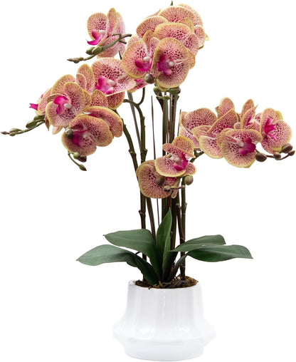 Artificial Orchid Flower Plant 20.9'' Real Touch Faux Orchids in Ceramic Vase Purple Dapple Fake Phalaenopsis Flower Arrangement Silk Orchids with Stems for Centerpiece Table Home Indoor Decor