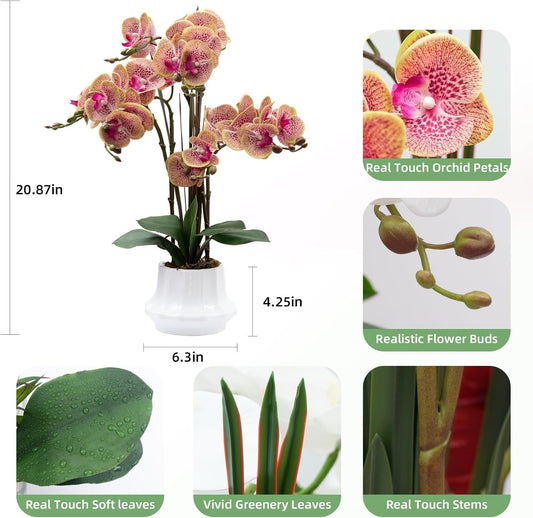 Artificial Orchid Flower Plant 20.9'' Real Touch Faux Orchids in Ceramic Vase Purple Dapple Fake Phalaenopsis Flower Arrangement Silk Orchids with Stems for Centerpiece Table Home Indoor Decor