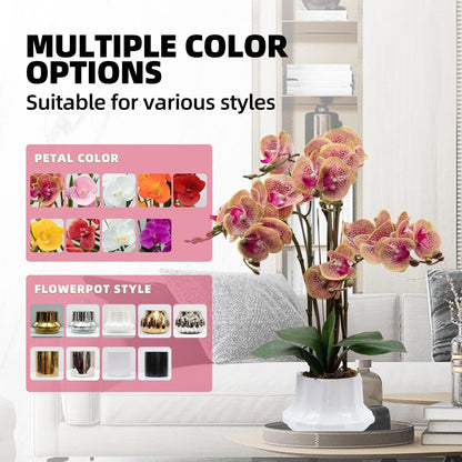 Artificial Orchid Flower Plant 20.9'' Real Touch Faux Orchids in Ceramic Vase Purple Dapple Fake Phalaenopsis Flower Arrangement Silk Orchids with Stems for Centerpiece Table Home Indoor Decor