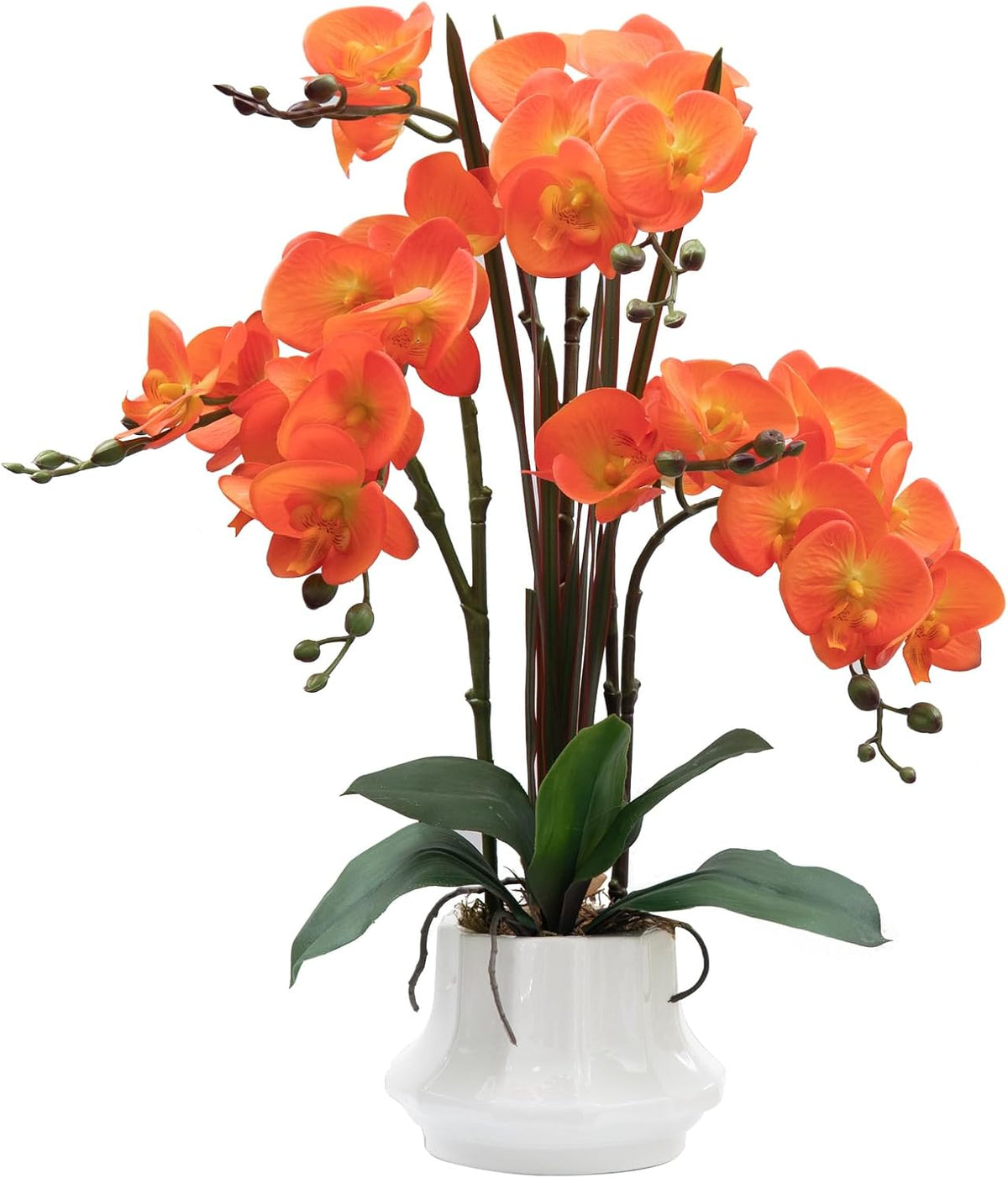 Artificial Orchid Flower Plant 20.9'' Real Touch Faux Orchids in Ceramic Vase Purple Dapple Fake Phalaenopsis Flower Arrangement Silk Orchids with Stems for Centerpiece Table Home Indoor Decor
