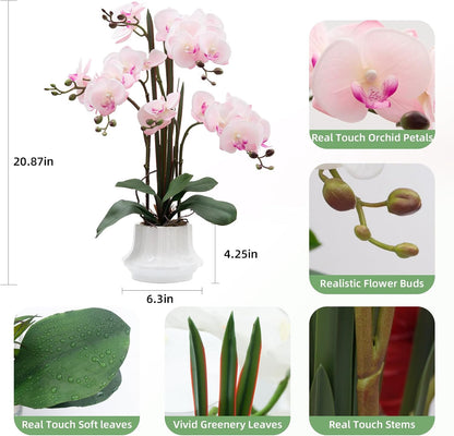 Artificial Orchid Flower Plant 20.9'' Real Touch Faux Orchids in Ceramic Vase Purple Dapple Fake Phalaenopsis Flower Arrangement Silk Orchids with Stems for Centerpiece Table Home Indoor Decor