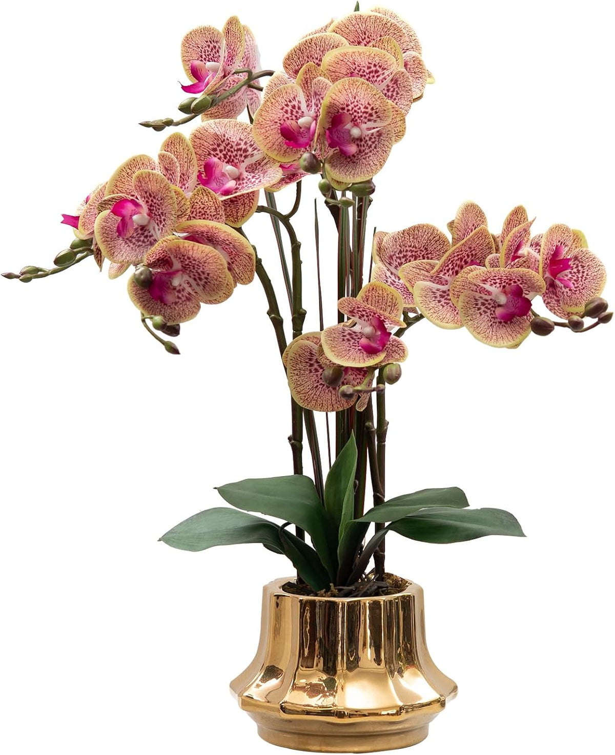 Artificial Orchid Flower Plant 20.9'' Real Touch Faux Orchids in Ceramic Vase Purple Dapple Fake Phalaenopsis Flower Arrangement Silk Orchids with Stems for Centerpiece Table Home Indoor Decor