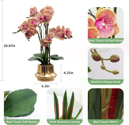 Artificial Orchid Flower Plant 20.9'' Real Touch Faux Orchids in Ceramic Vase Purple Dapple Fake Phalaenopsis Flower Arrangement Silk Orchids with Stems for Centerpiece Table Home Indoor Decor