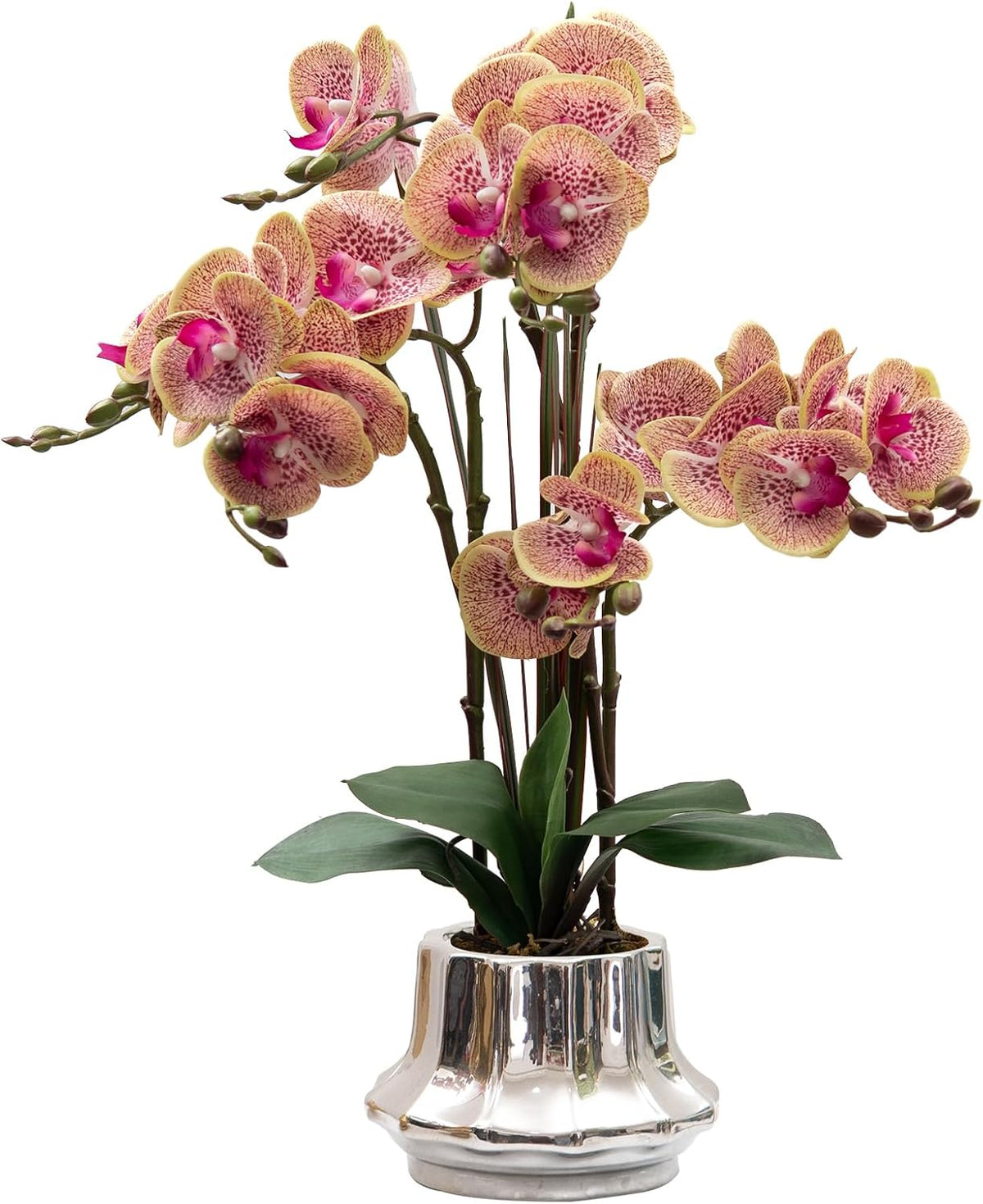 Artificial Orchid Flower Plant 20.9'' Real Touch Faux Orchids in Ceramic Vase Purple Dapple Fake Phalaenopsis Flower Arrangement Silk Orchids with Stems for Centerpiece Table Home Indoor Decor