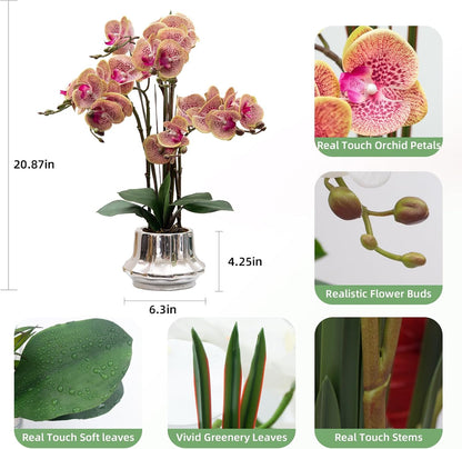 Artificial Orchid Flower Plant 20.9'' Real Touch Faux Orchids in Ceramic Vase Purple Dapple Fake Phalaenopsis Flower Arrangement Silk Orchids with Stems for Centerpiece Table Home Indoor Decor