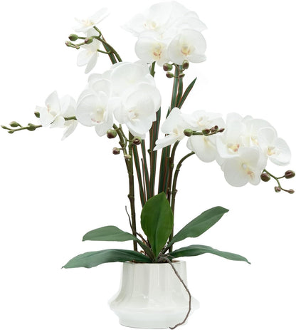 Artificial Orchid Flower Plant 20.9'' Real Touch Faux Orchids in Ceramic Vase Purple Dapple Fake Phalaenopsis Flower Arrangement Silk Orchids with Stems for Centerpiece Table Home Indoor Decor