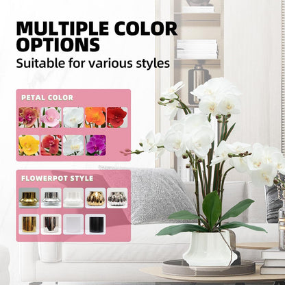Artificial Orchid Flower Plant 20.9'' Real Touch Faux Orchids in Ceramic Vase Purple Dapple Fake Phalaenopsis Flower Arrangement Silk Orchids with Stems for Centerpiece Table Home Indoor Decor