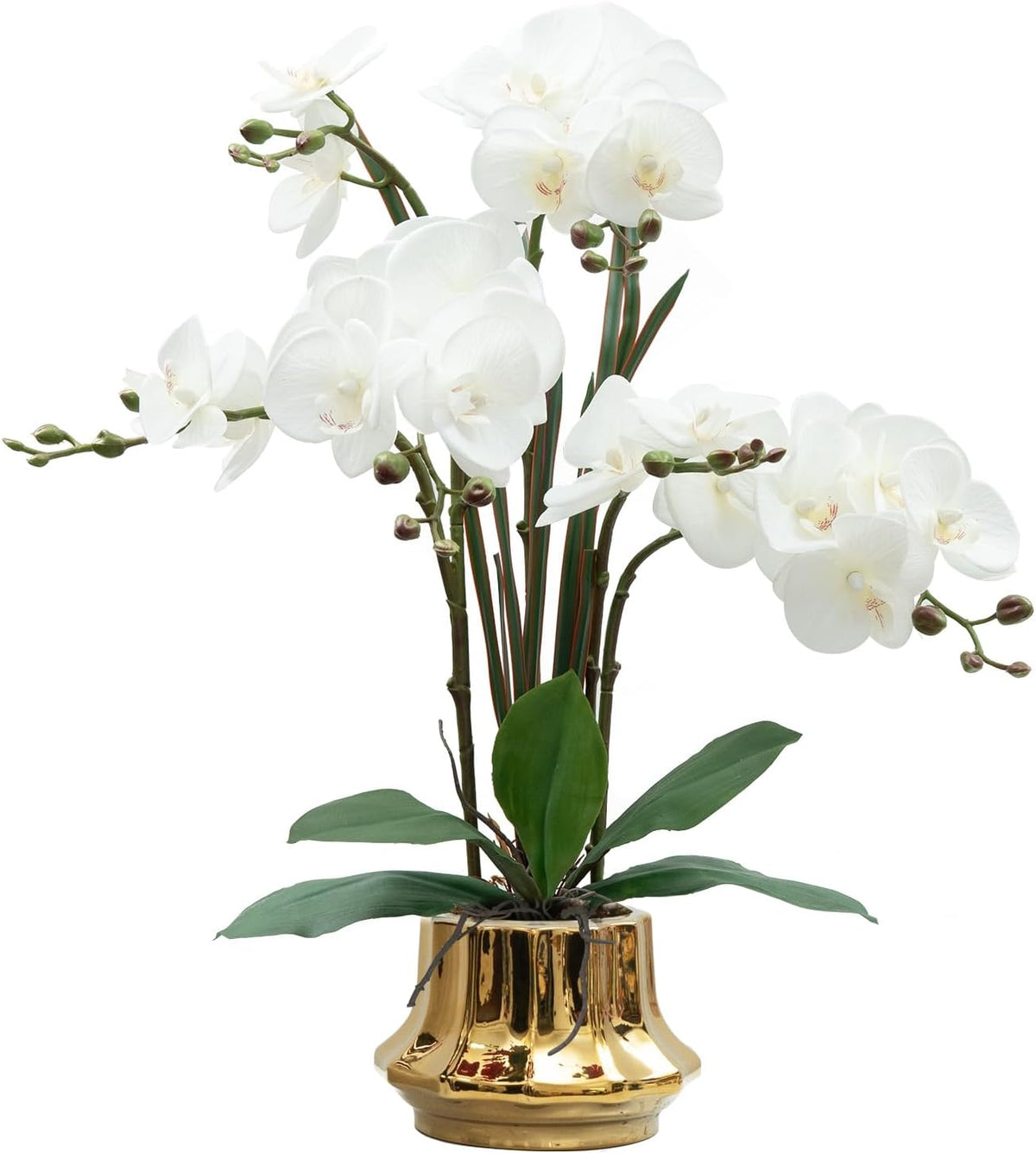 Artificial Orchid Flower Plant 20.9'' Real Touch Faux Orchids in Ceramic Vase Purple Dapple Fake Phalaenopsis Flower Arrangement Silk Orchids with Stems for Centerpiece Table Home Indoor Decor