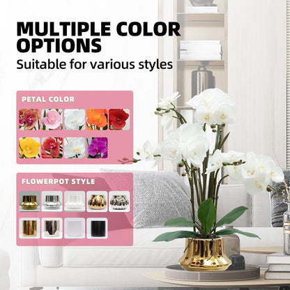 Artificial Orchid Flower Plant 20.9'' Real Touch Faux Orchids in Ceramic Vase Purple Dapple Fake Phalaenopsis Flower Arrangement Silk Orchids with Stems for Centerpiece Table Home Indoor Decor