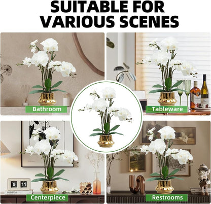Artificial Orchid Flower Plant 20.9'' Real Touch Faux Orchids in Ceramic Vase Purple Dapple Fake Phalaenopsis Flower Arrangement Silk Orchids with Stems for Centerpiece Table Home Indoor Decor