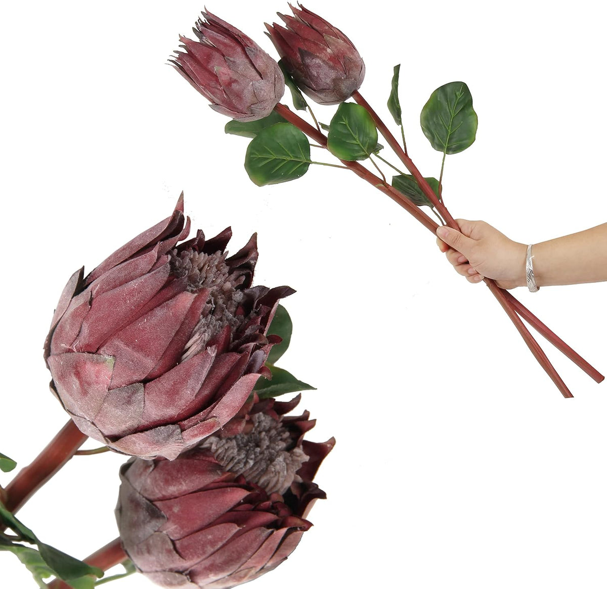 4pcs Artificial Protea Flower Buds,26 Inch Super Long Stem Faux Protea Artificial Flower Bud, Silk Protea Bud for Home Decor Centerpiece Crafts Wedding Bouquet,Dark Red