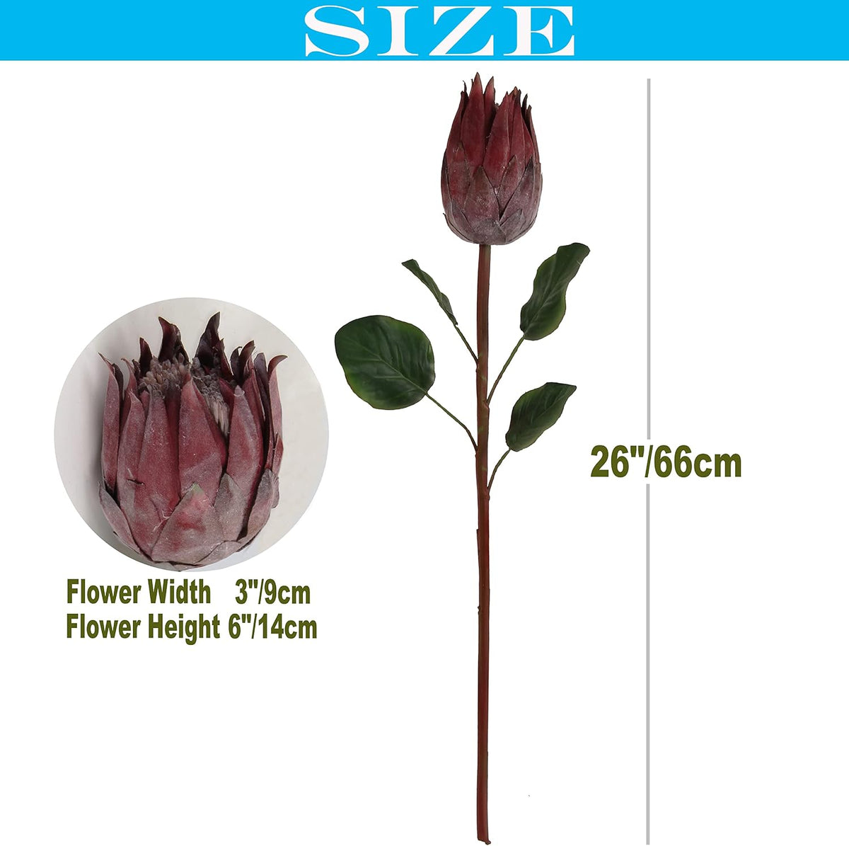 4pcs Artificial Protea Flower Buds,26 Inch Super Long Stem Faux Protea Artificial Flower Bud, Silk Protea Bud for Home Decor Centerpiece Crafts Wedding Bouquet,Dark Red