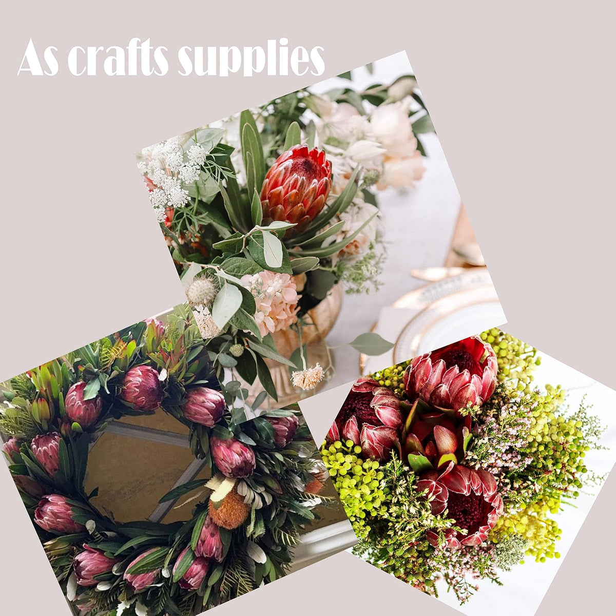 4pcs Artificial Protea Flower Buds,26 Inch Super Long Stem Faux Protea Artificial Flower Bud, Silk Protea Bud for Home Decor Centerpiece Crafts Wedding Bouquet,Dark Red