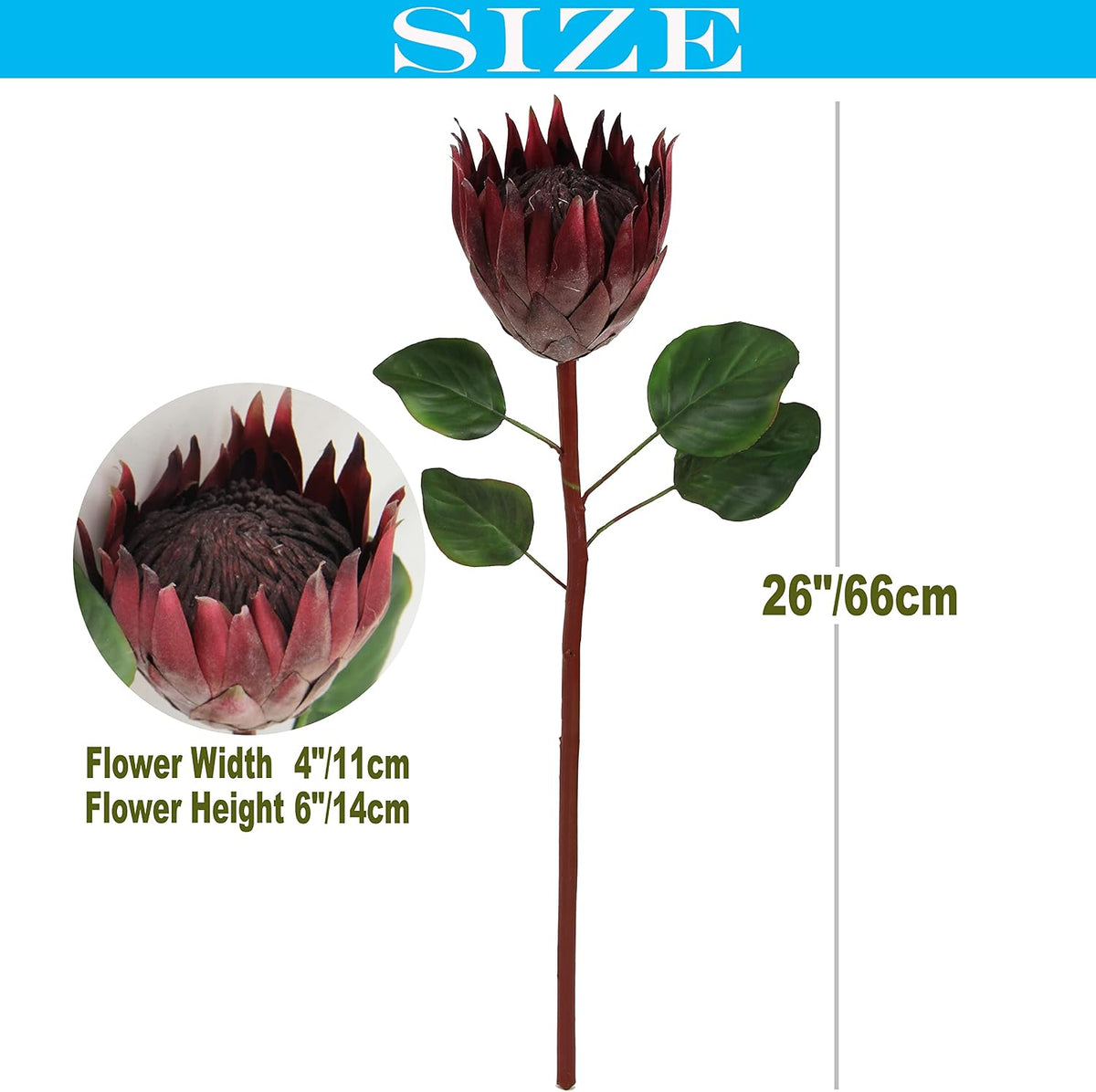 4pcs Artificial Protea Flower Buds,26 Inch Super Long Stem Faux Protea Artificial Flower Bud, Silk Protea Bud for Home Decor Centerpiece Crafts Wedding Bouquet,Dark Red