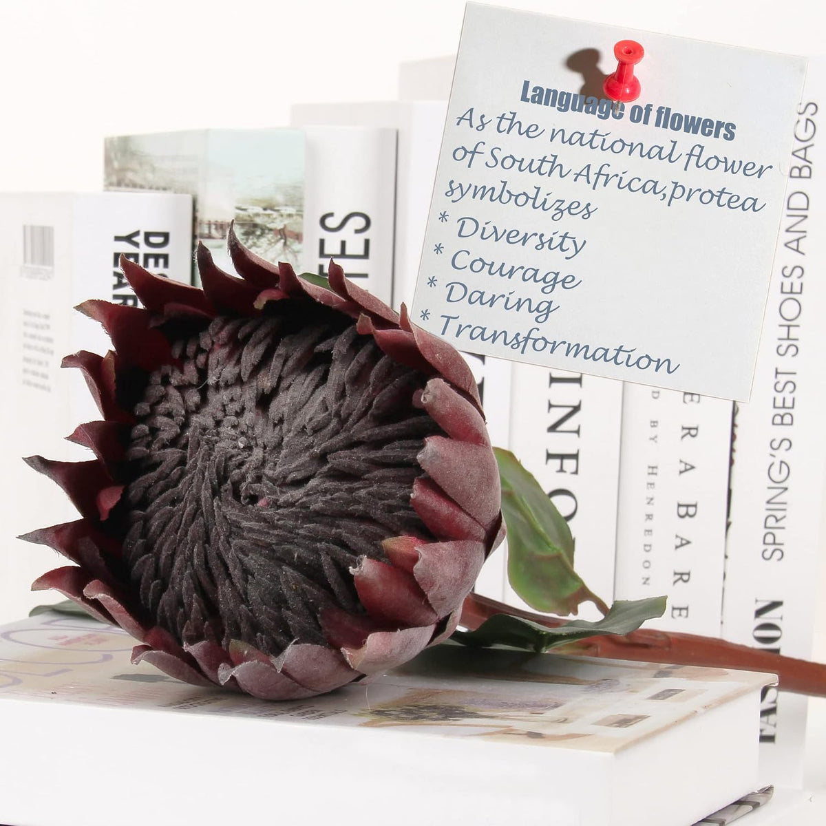 4pcs Artificial Protea Flower Buds,26 Inch Super Long Stem Faux Protea Artificial Flower Bud, Silk Protea Bud for Home Decor Centerpiece Crafts Wedding Bouquet,Dark Red