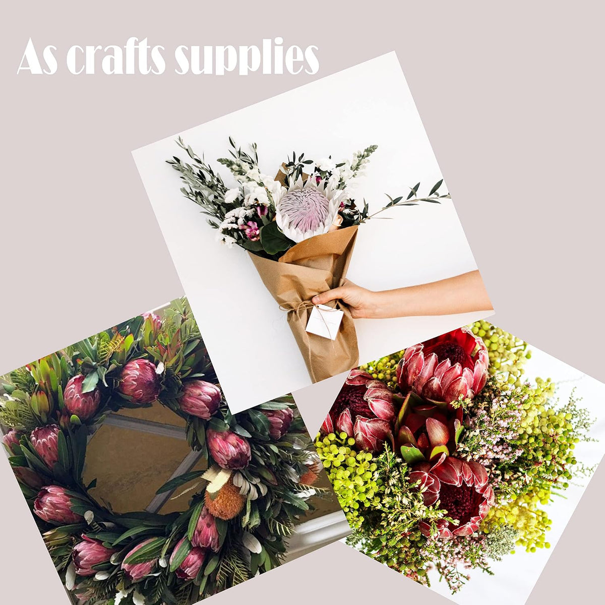 4pcs Artificial Protea Flower Buds,26 Inch Super Long Stem Faux Protea Artificial Flower Bud, Silk Protea Bud for Home Decor Centerpiece Crafts Wedding Bouquet,Dark Red